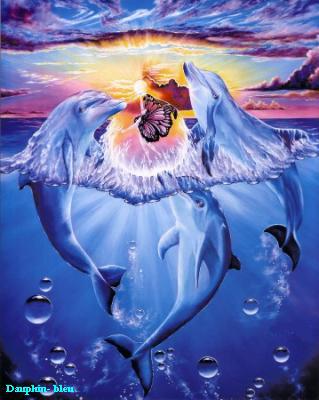 CES TROP BO LES DAUPHIN