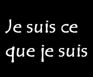 ME GOUT CEST MES GOUTS