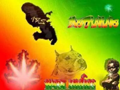 madinina repr&eacute;sente